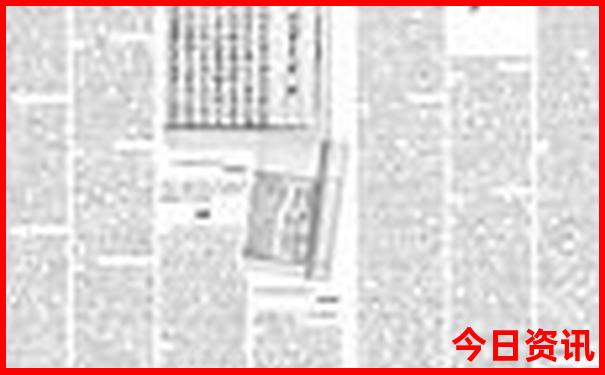 十二生肖49码表