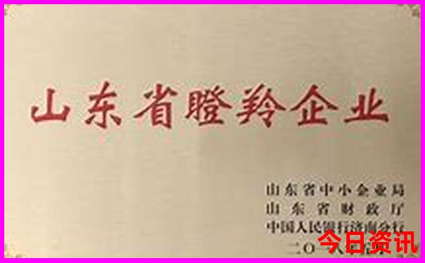 中国最值得去的旅游城市